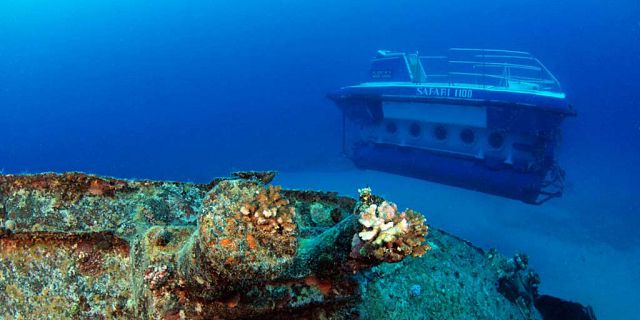 Full day of underwater adventures (16)